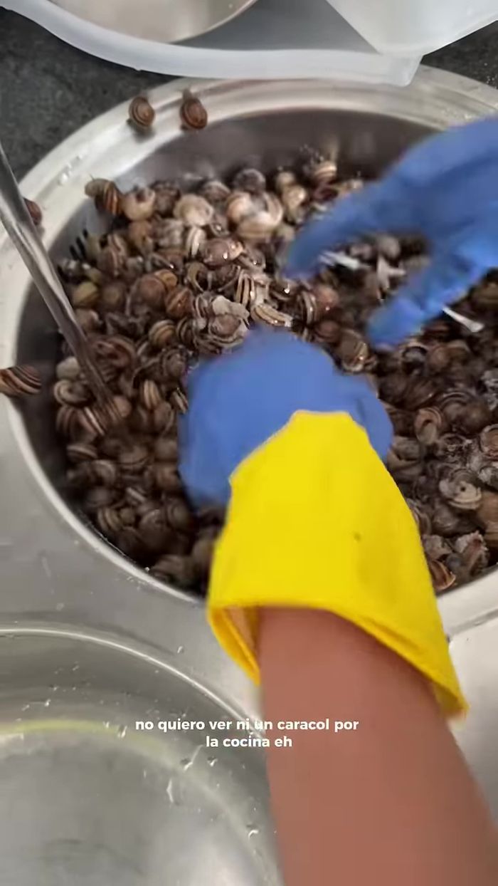 Frotar las cabrillas con sal para eliminar la baba y la espuma. Repetir tres veces.