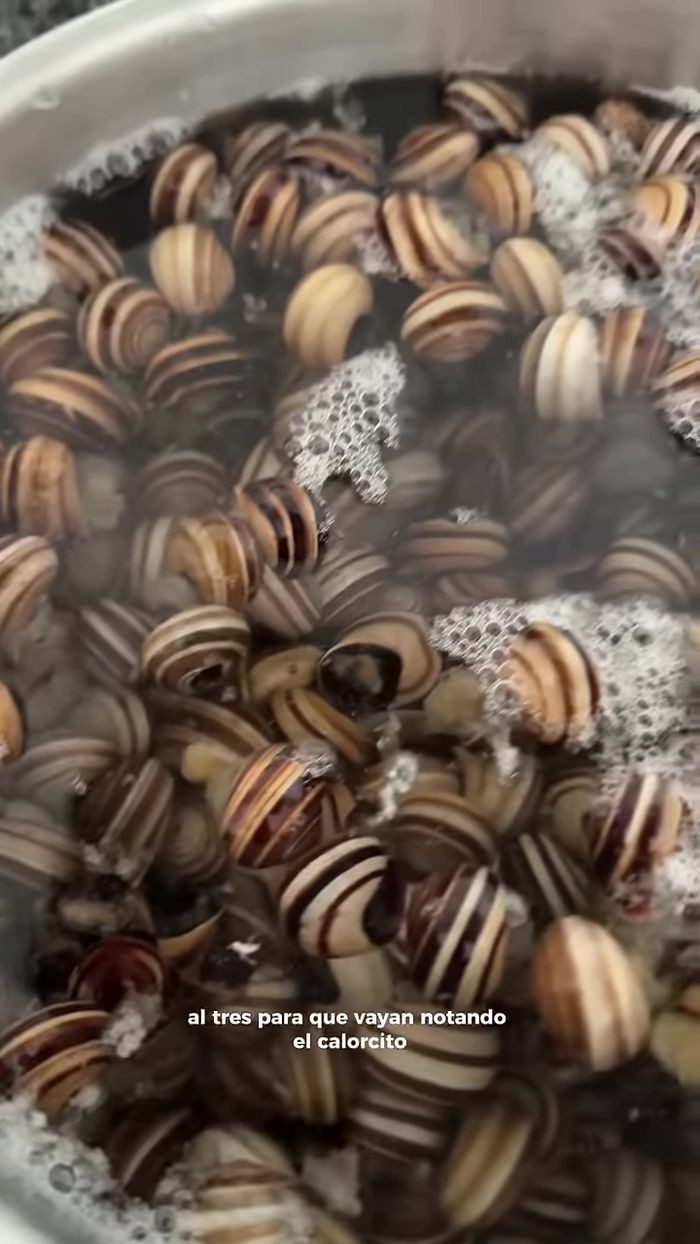 Poner las cabrillas en una olla con el fuego bajo (nivel 3) para que se vayan calentando.