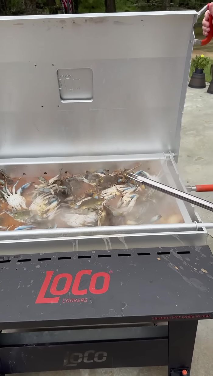 Colocar los cangrejos en la olla.