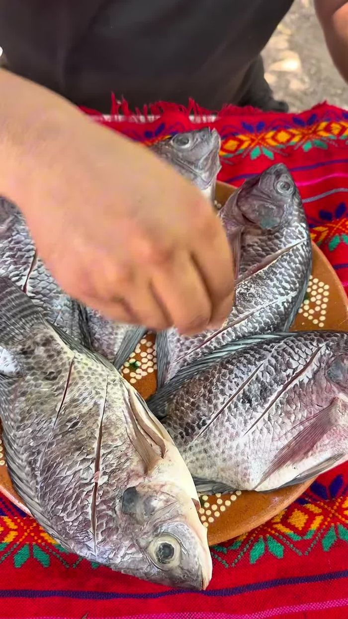 Sazonar las mojarras con sal, ajo en polvo y pimienta en polvo.