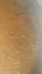 Receta de Arroz con Solomillo Ibérico y Setas Caramelizadas