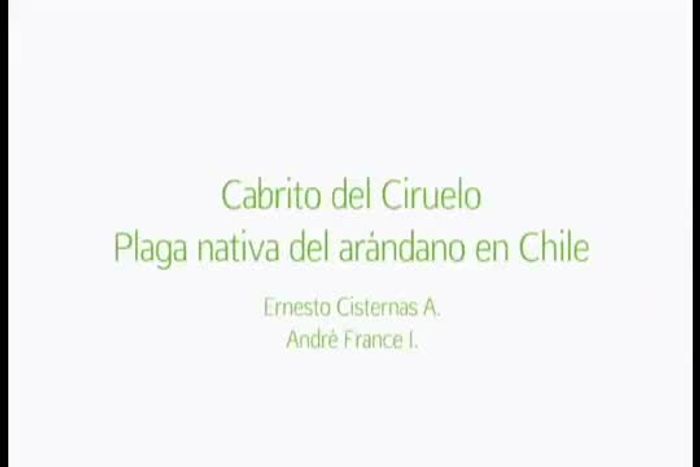 Si lo desea, agregue la canela en polvo durante los últimos minutos de cocción.