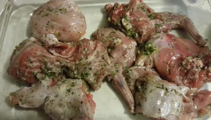 Colocar el conejo en una fuente apta para horno.