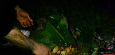 Receta de Codornices al Barro: Técnica Milenaria