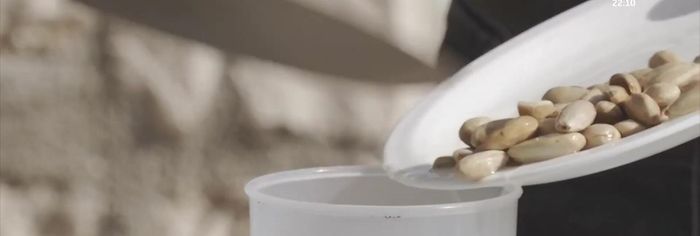 Triturar el sofrito (pan, ajo, almendras y pimientos secos) con un poco de agua hasta obtener una textura homogénea.