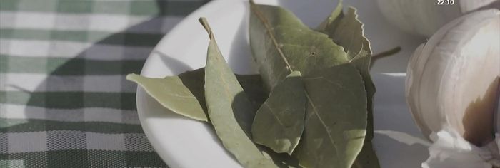 Sofreír el ajo con rebanadas de pan, pimiento seco, laurel y cayena.