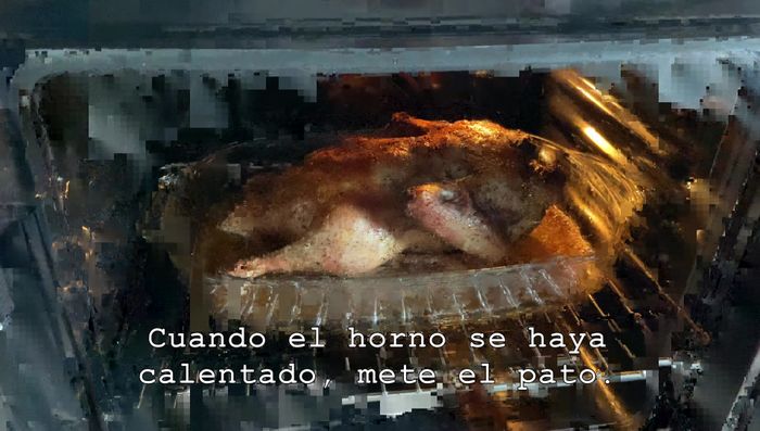 Una vez precalentado, coloca el pato en el horno. (622.8)