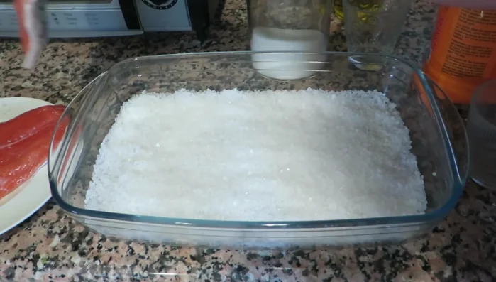Coloca los lomos de salmón sobre la cama de sal, con la piel hacia abajo.
