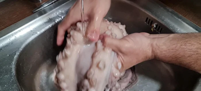 Limpiar el pulpo bajo el grifo, prestando especial atención a los tentáculos. Limpiar bien la cabeza y quitar la varilla interior.