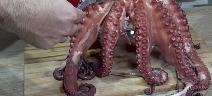 Cortar el pulpo en rodajas o trozos del tamaño deseado.